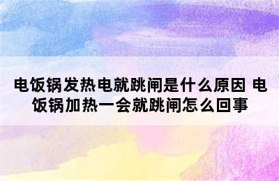 电饭锅发热电就跳闸是什么原因 电饭锅加热一会就跳闸怎么回事